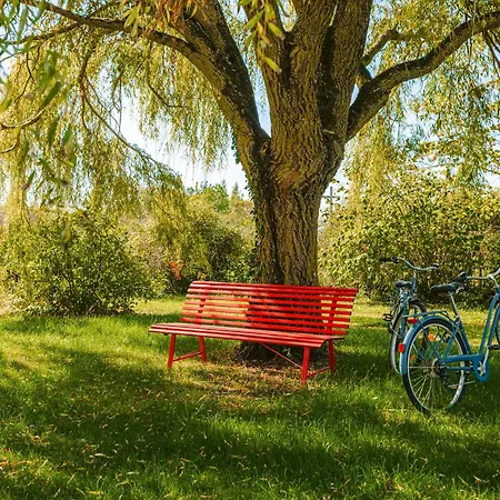 La Grange Hulotte Prázdninový dům Chaille-Les-Marais